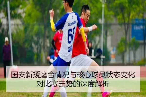 国安新援磨合情况与核心球员状态变化对比赛走势的深度解析